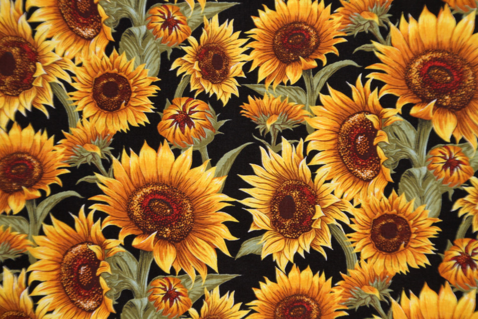 Flower Market Sunflowers