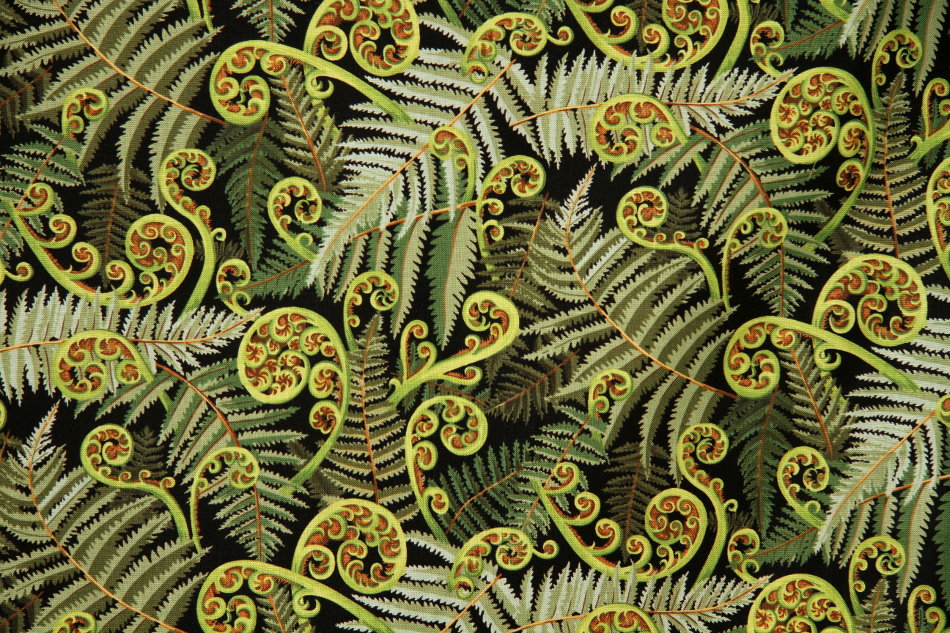 Koru Frond